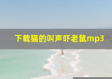 下载猫的叫声吓老鼠mp3