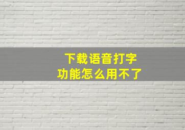 下载语音打字功能怎么用不了