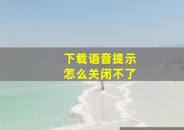 下载语音提示怎么关闭不了