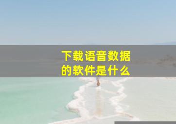 下载语音数据的软件是什么