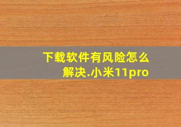 下载软件有风险怎么解决.小米11pro