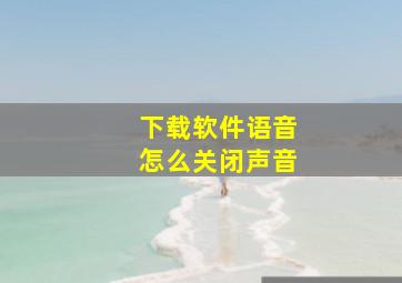 下载软件语音怎么关闭声音