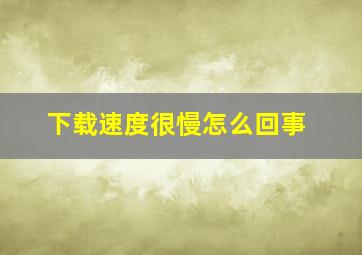 下载速度很慢怎么回事