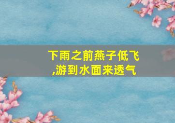 下雨之前燕子低飞,游到水面来透气