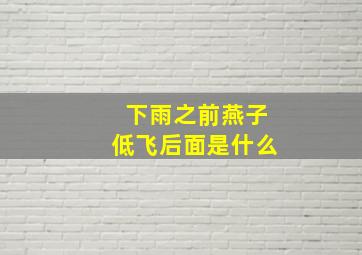 下雨之前燕子低飞后面是什么