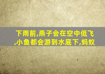 下雨前,燕子会在空中低飞,小鱼都会游到水底下,蚂蚁