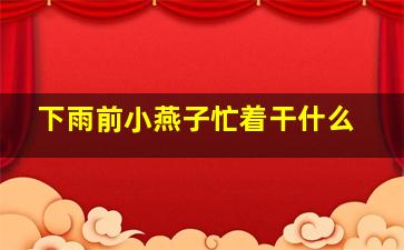 下雨前小燕子忙着干什么