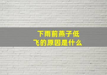 下雨前燕子低飞的原因是什么