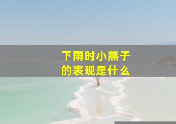 下雨时小燕子的表现是什么