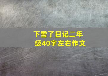 下雪了日记二年级40字左右作文