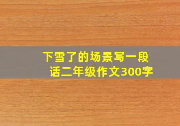 下雪了的场景写一段话二年级作文300字