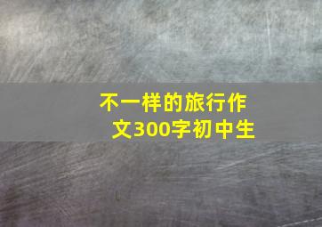 不一样的旅行作文300字初中生