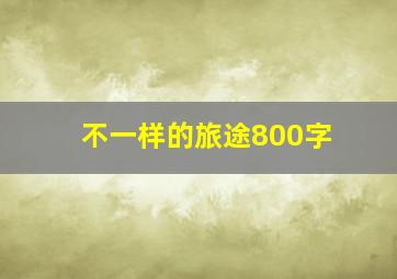 不一样的旅途800字