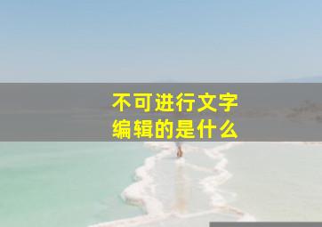 不可进行文字编辑的是什么