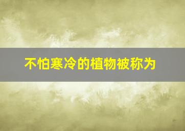 不怕寒冷的植物被称为