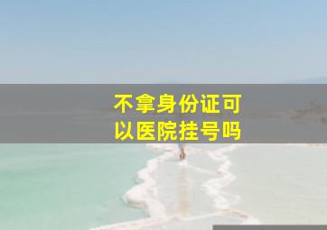 不拿身份证可以医院挂号吗