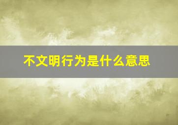 不文明行为是什么意思