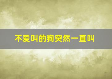 不爱叫的狗突然一直叫