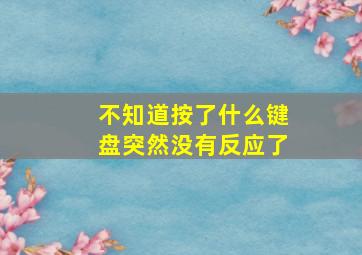 不知道按了什么键盘突然没有反应了