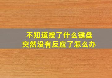 不知道按了什么键盘突然没有反应了怎么办