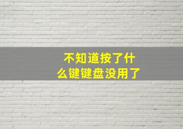 不知道按了什么键键盘没用了