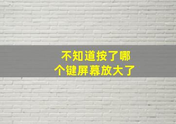 不知道按了哪个键屏幕放大了