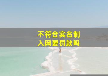 不符合实名制入网要罚款吗