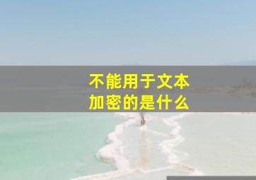 不能用于文本加密的是什么