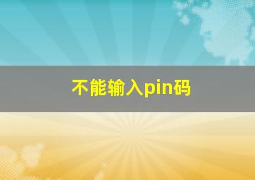 不能输入pin码