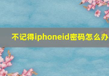 不记得iphoneid密码怎么办