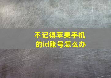 不记得苹果手机的id账号怎么办