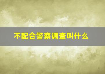 不配合警察调查叫什么