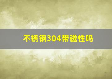 不锈钢304带磁性吗