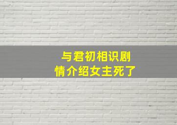 与君初相识剧情介绍女主死了