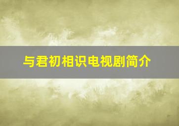 与君初相识电视剧简介