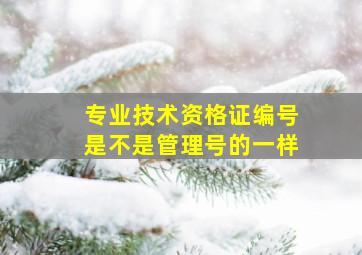 专业技术资格证编号是不是管理号的一样