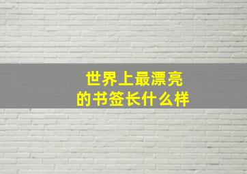 世界上最漂亮的书签长什么样