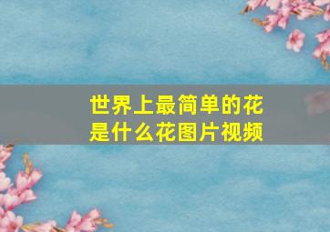 世界上最简单的花是什么花图片视频