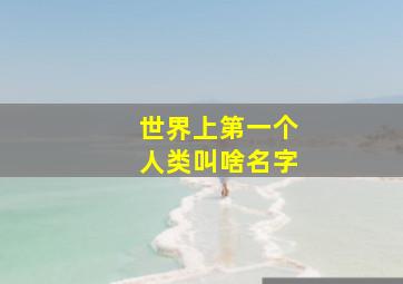 世界上第一个人类叫啥名字