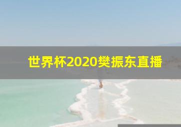 世界杯2020樊振东直播