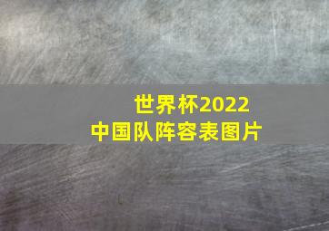 世界杯2022中国队阵容表图片