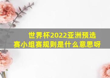 世界杯2022亚洲预选赛小组赛规则是什么意思呀