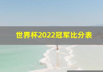 世界杯2022冠军比分表