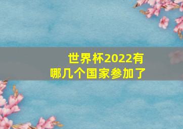 世界杯2022有哪几个国家参加了