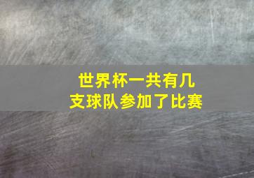 世界杯一共有几支球队参加了比赛