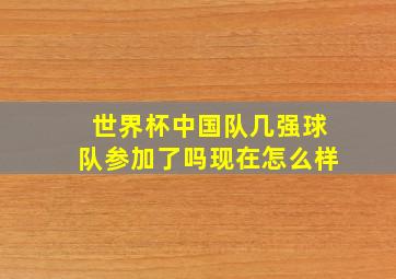 世界杯中国队几强球队参加了吗现在怎么样