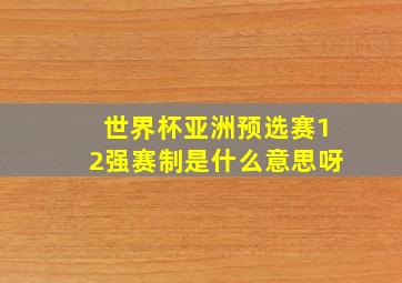 世界杯亚洲预选赛12强赛制是什么意思呀