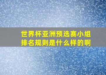 世界杯亚洲预选赛小组排名规则是什么样的啊