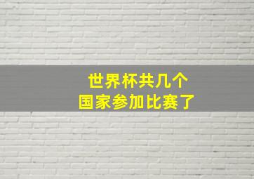 世界杯共几个国家参加比赛了