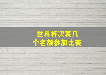 世界杯决赛几个名额参加比赛